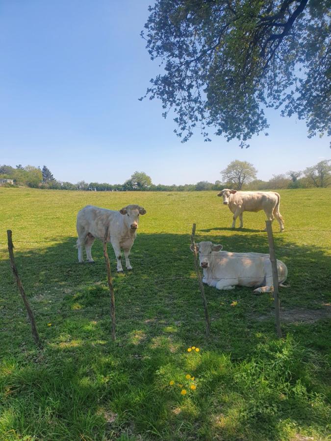 Villa Fleur De Lys Au Puy Du Fou - Stayinvendee La Gaubretiere Exteriér fotografie